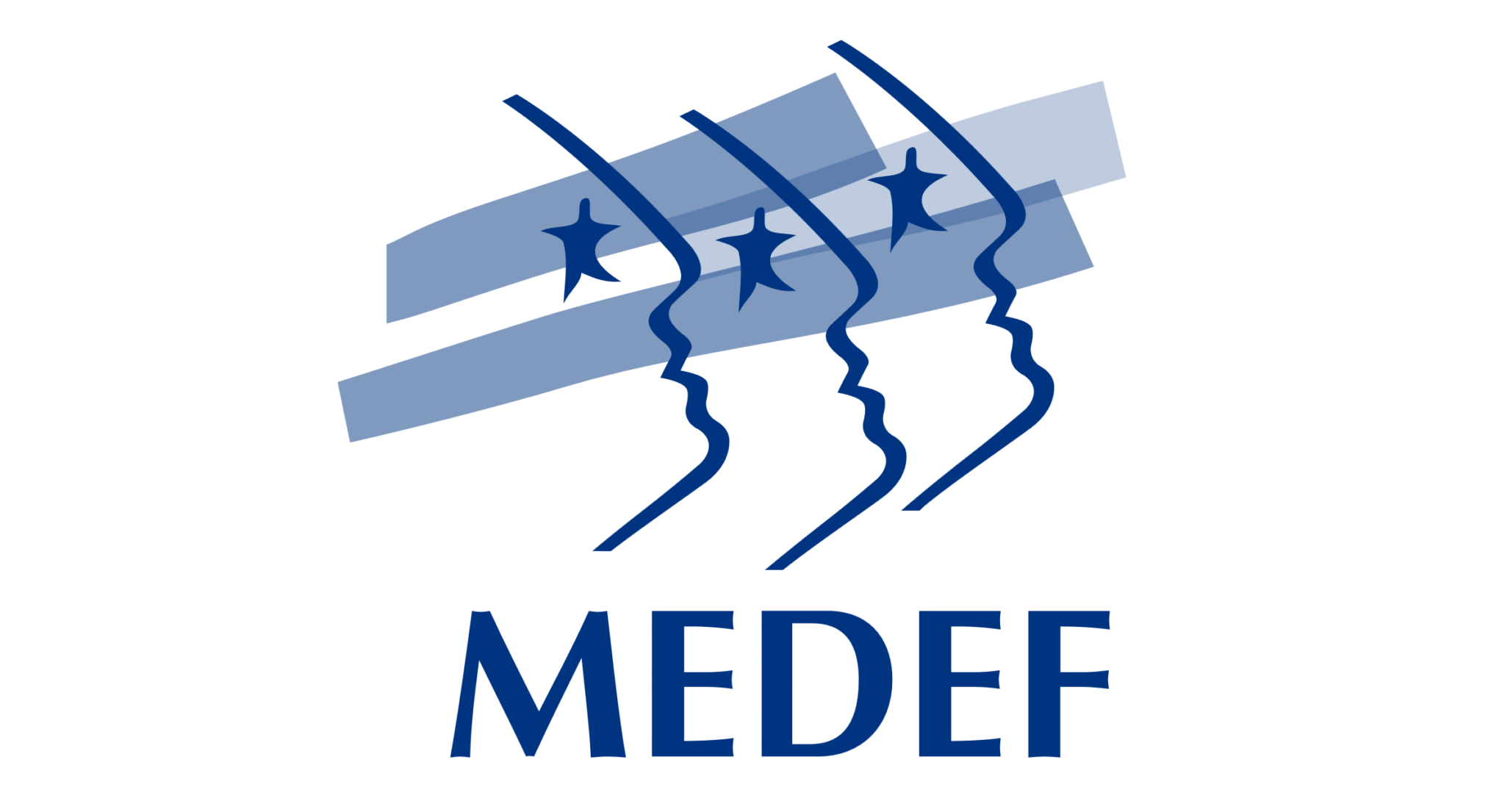 Медеф. Medef.